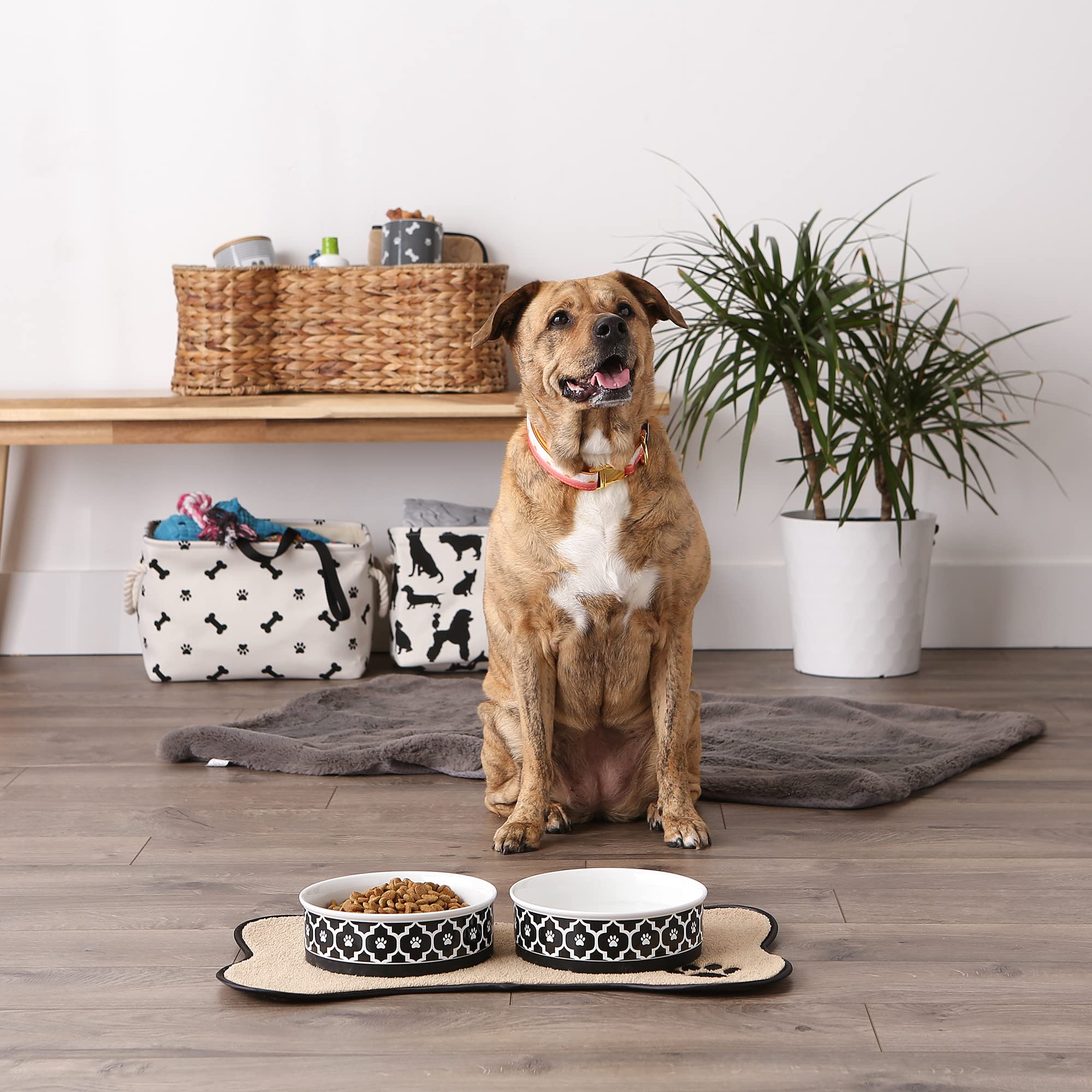 Bone Dry Lattice Collection Pet Bowl & Canister, Large Set, 7.5x2.4 inches, Black, 2 Piece
